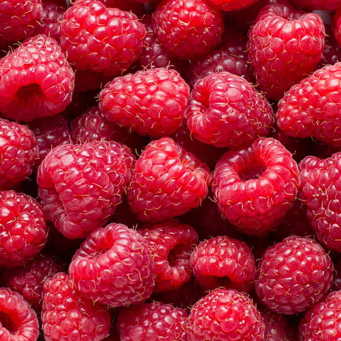 Freeze Dried Fresh Raspberries